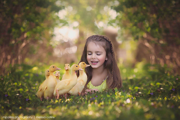 little girl Spring ducks mjcollins photography