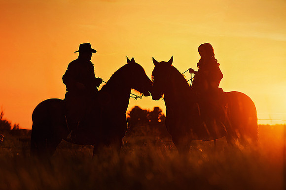 sunset horse couples mjcollins photography