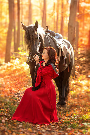 sunset horse mjcollins photography