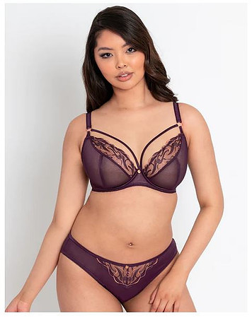 Curvy Kate